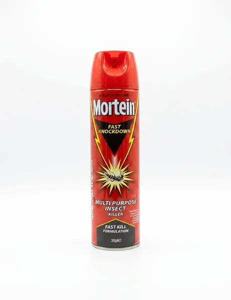 MORTEIN(RED)INSECT KILLER SPRAY 300G